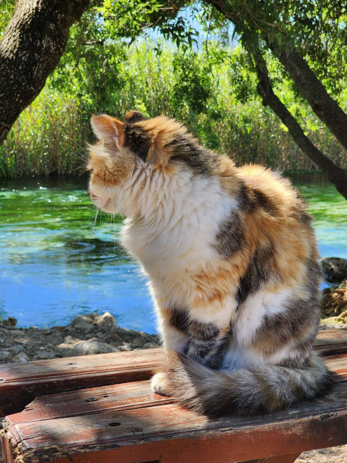 Sakin Şehir Akyaka, “Dünyanın En İyi Turizm Köyü” Seçildi 8